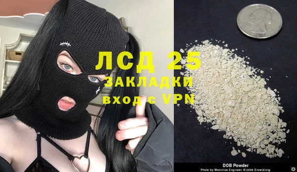 мяу мяу мука Покачи