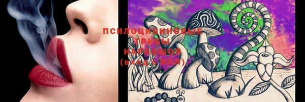 мяу мяу мука Покачи