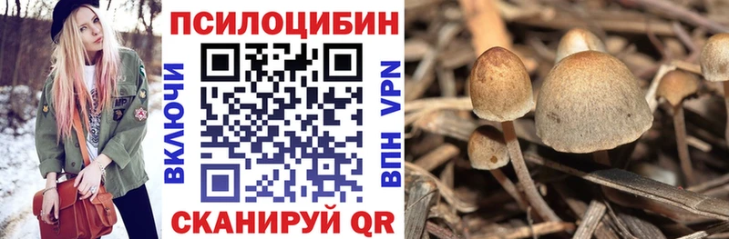 Псилоцибиновые грибы Cubensis Сердобск